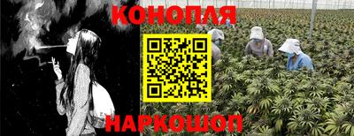 каннабис Кингисепп