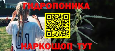 каннабис Кингисепп