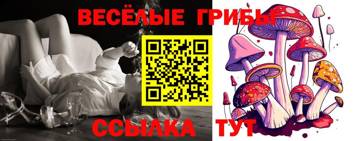 Галлюциногенные грибы ЛСД  Галлюциногенные грибы GOLDEN TEACHER  Калач-на-Дону  Вход с VPN 