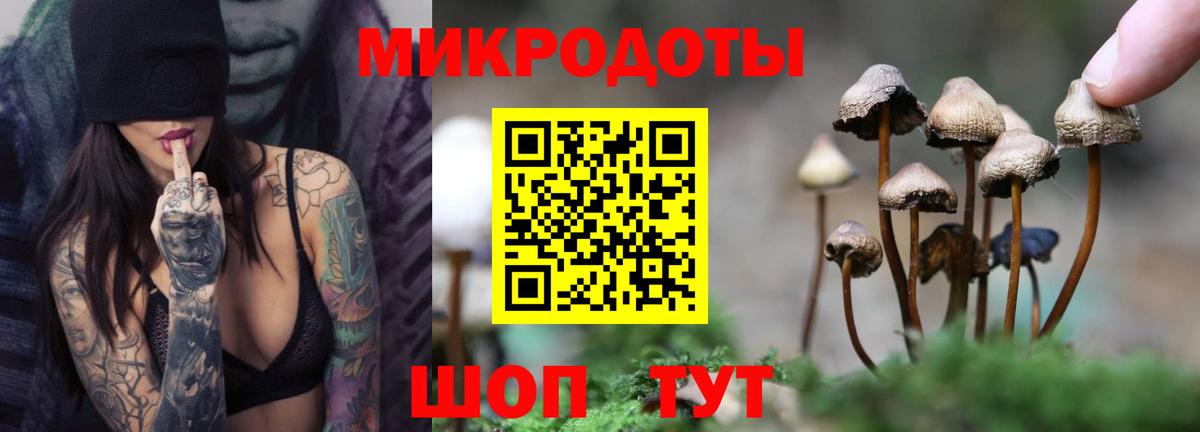 Псилоцибиновые грибы GOLDEN TEACHER Калач-на-Дону